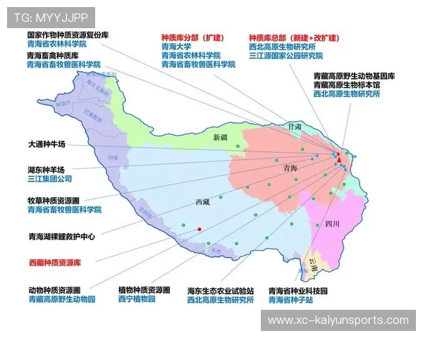 Liquid地图资源控制不足