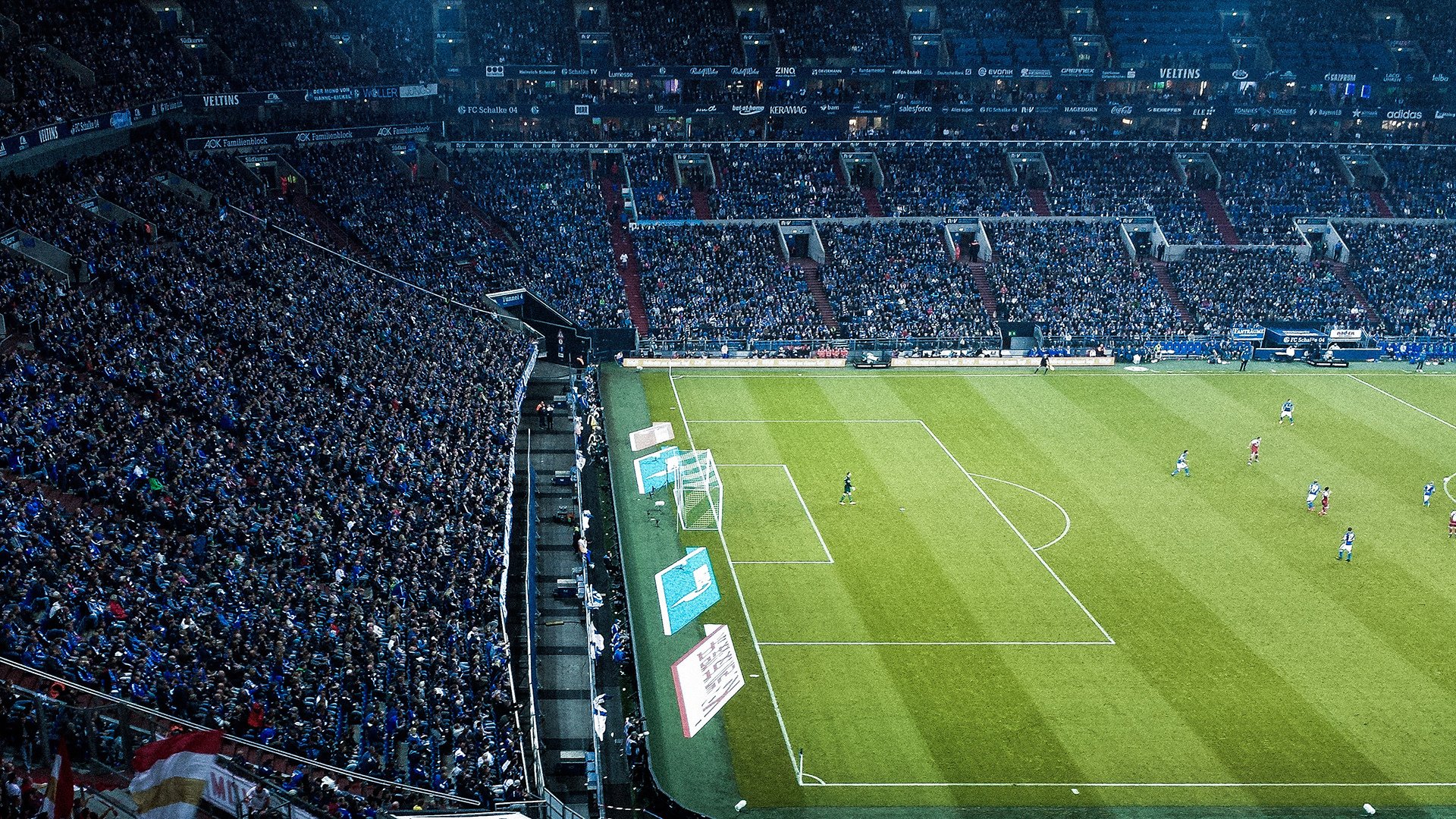 乔·莫伊:用强硬的身体和超高的scrum技巧,为全黑队赢得胜利,乔伊简介